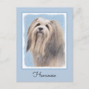 Suche nach bichon postkarten Havanisch