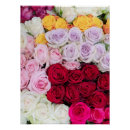 Suche nach die rosen poster Romantisch