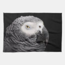 Recherche de perroquets cuisine linges Nature