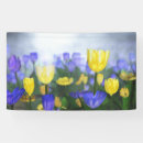 Suche nach tulpen banner Lila