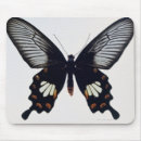 Suche nach schwarze schmetterlinge mousepads Tier