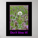 Suche nach blasen poster Freundschaft