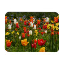 Recherche de de fleur de ressort magnets Fleurs