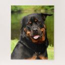 Suche nach rottweiler puzzle Welpen