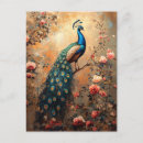 Suche nach vogelbilder postkarten Pfau