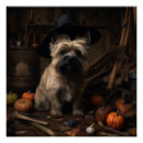 Recherche de terrier cairn posters Animal de compagnie
