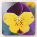 Suche nach viola untersetzer Blume