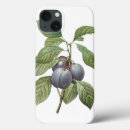 Recherche de illustrations vintages de fruit iphone coques Rétro