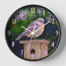 Suche nach birdhouse wanduhren Vogelhaus
