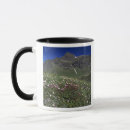 Recherche de alpes suisses tasses Couleur