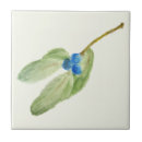 Suche nach botanische illustration fliesen Elegant
