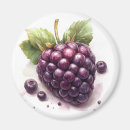 Recherche de pour blackberry magnets Frais
