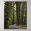Suche nach redwood poster Im freien