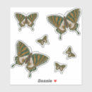 Suche nach eingeboren aufkleber Ureinwohner