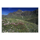Recherche de alpes suisses posters Ciel