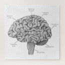 Suche nach gehirn puzzle Psychologie