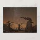 Recherche de étoile filante cartes postales Espace