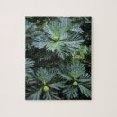 Suche nach polynesien puzzle Pazifisch