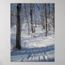 Recherche de arbre blanc posters Nature