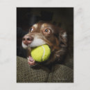 Suche nach tennisball postkarten Vertikal