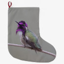 Recherche de colibri chaussette de noël Oiseaux