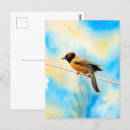 Suche nach bunter vogel postkarten Tiere