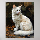 Suche nach angora poster Katzenkunst