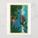 Recherche de moro cartes postales San