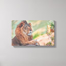 Recherche de lionne art Chat