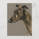 Recherche de fauve cartes postales Animaux
