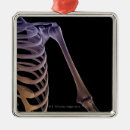 Suche nach schulter ornamente Büro doktors