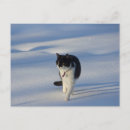 Suche nach catwalk poster Laufsteg