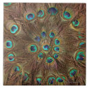 Recherche de plume de paon carreaux Oiseau