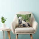 Recherche de panda bambou coussins Mignon
