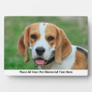 Recherche de animaux memorial plaques Chat
