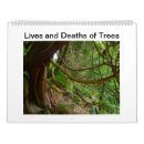 Suche nach leben oder tod Natur