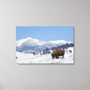 Suche nach säugetier leinwandbilder Landschaft