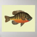 Recherche de outdoorsman art Pour tous