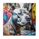 Recherche de pitbull carreaux Dog
