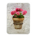 Recherche de pot fleur magnets Jardin