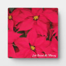 Suche nach festlich fotoplatten Blume