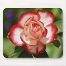 Suche nach schöne weiße rose mousepads Blume