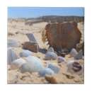 Suche nach strand muscheln fliesen Natur