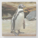 Suche nach pinguine untersetzer Für sie/ihn