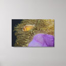 Suche nach seeanemonen poster Unterwasser