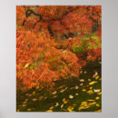 Suche nach ahorn poster Orange