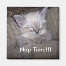 Recherche de temps de petit somme Amusement