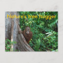 Suche nach natur postkarten Safari