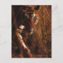 Suche nach bengalischer tiger postkarten Wild lebende tiere
