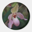 Suche nach orchideen magnete Tropisch